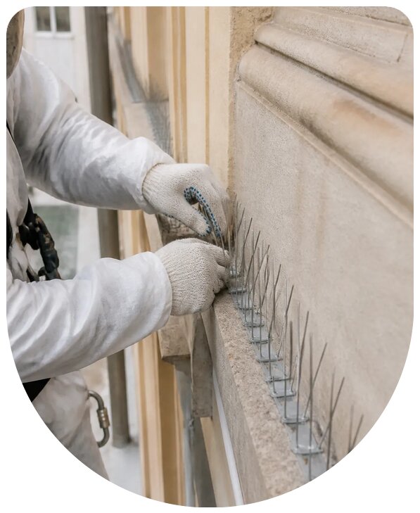 Монтаж антиприсадочных шипов от птиц на объектах в Воткинске